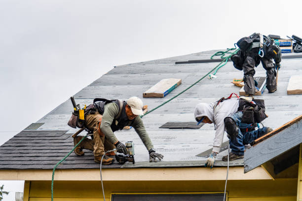 Professional Emergency Roof Repair technician working in Erhard, MN